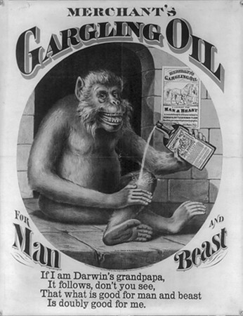 Merchant’s Gargling Oil – “Good for Man and Beast”